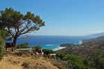 Ikaria